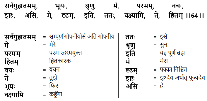 Bhagavad Gita Chapter 18 Verse 64