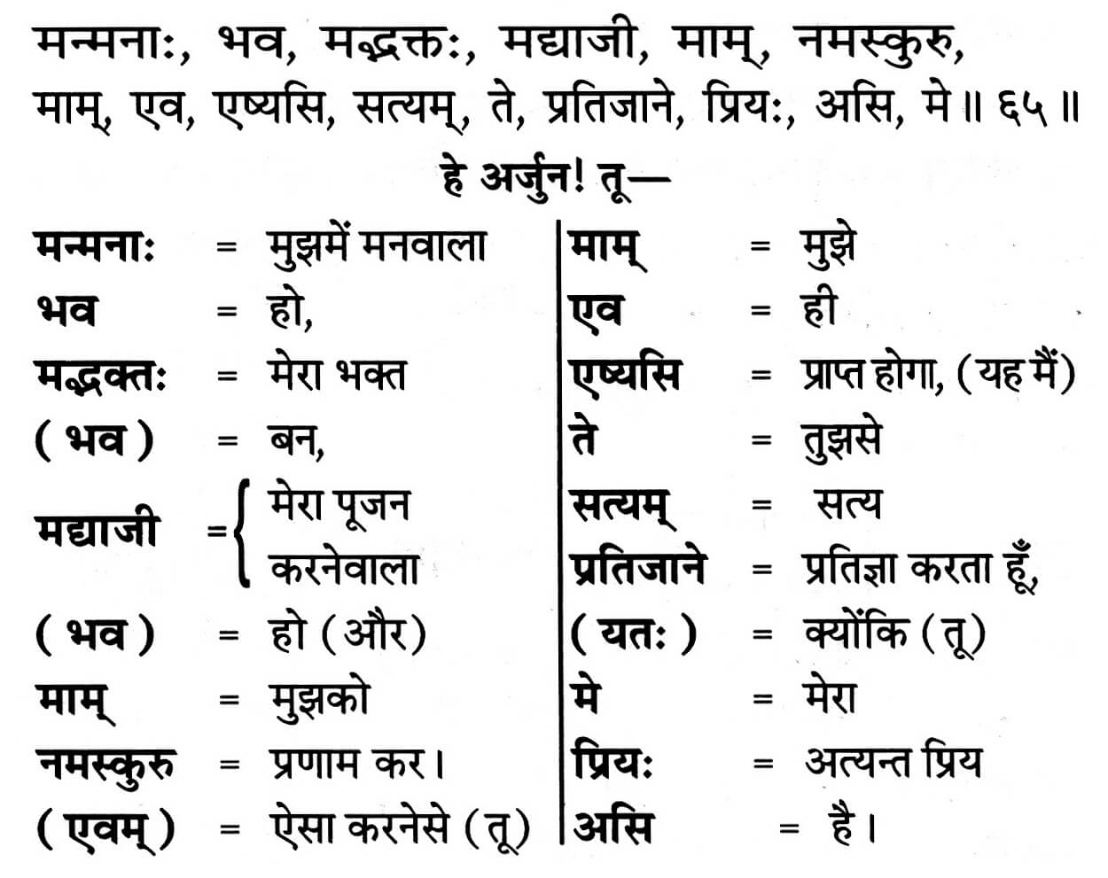 Bhagavad Gita Chapter 18 Verse 65