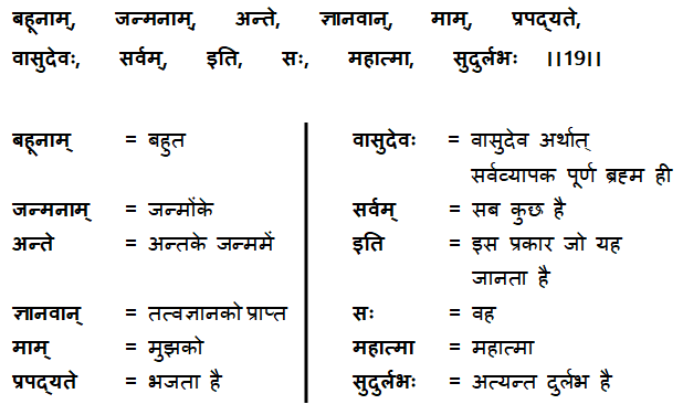 Bhagavad Gita Chapter 7 Verse 19