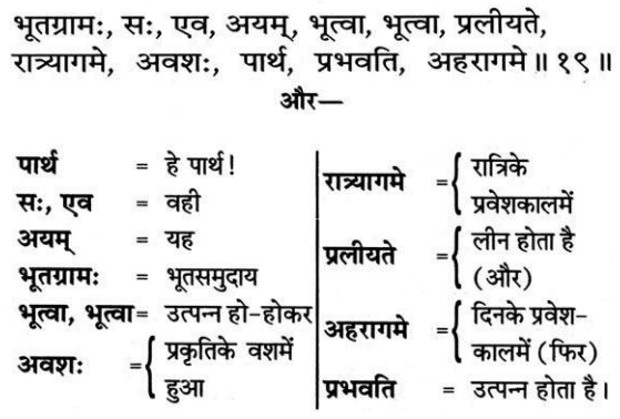 Bhagavad Gita Chapter 8 Verse 19