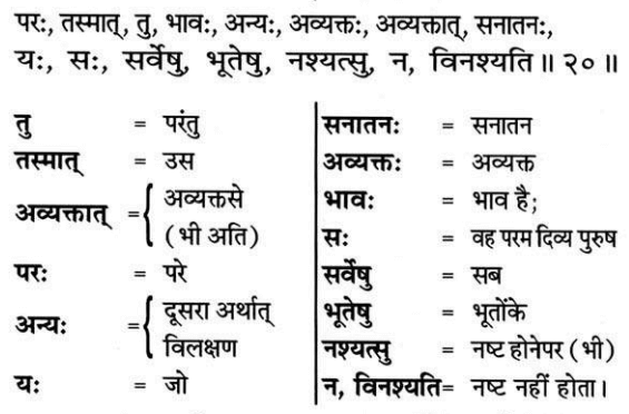 Bhagavad Gita Chapter 8 Verse 20