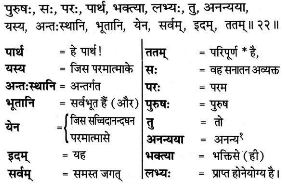 Bhagavad Gita Chapter 8 Verse 22