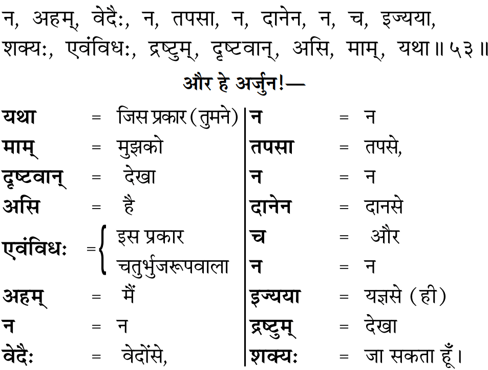 Gita 11.53