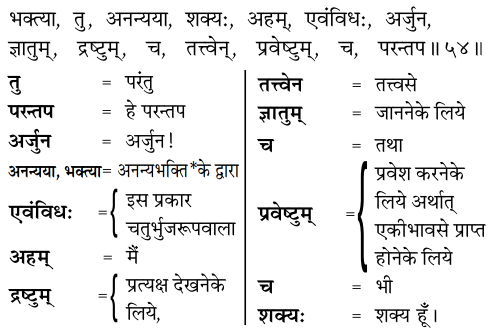 Gita 11.54