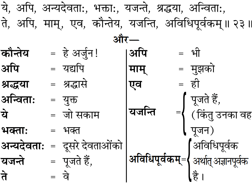 Gita 9.23